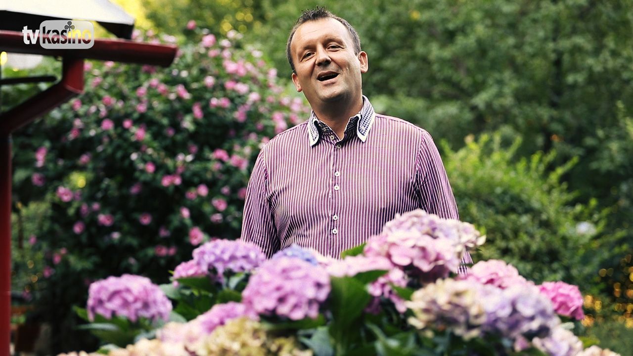 Šlágr tv kasino Stream